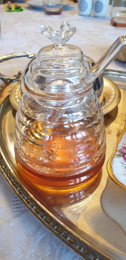 La Tour Noble Bed & Breakfast Saint-Saturnin  Ngoại thất bức ảnh